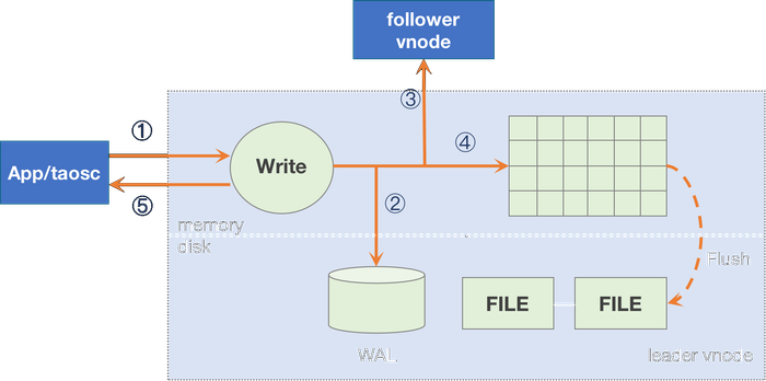 Leader write process