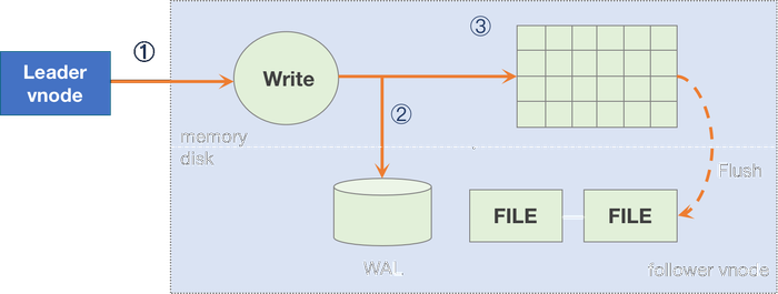 Follower write process