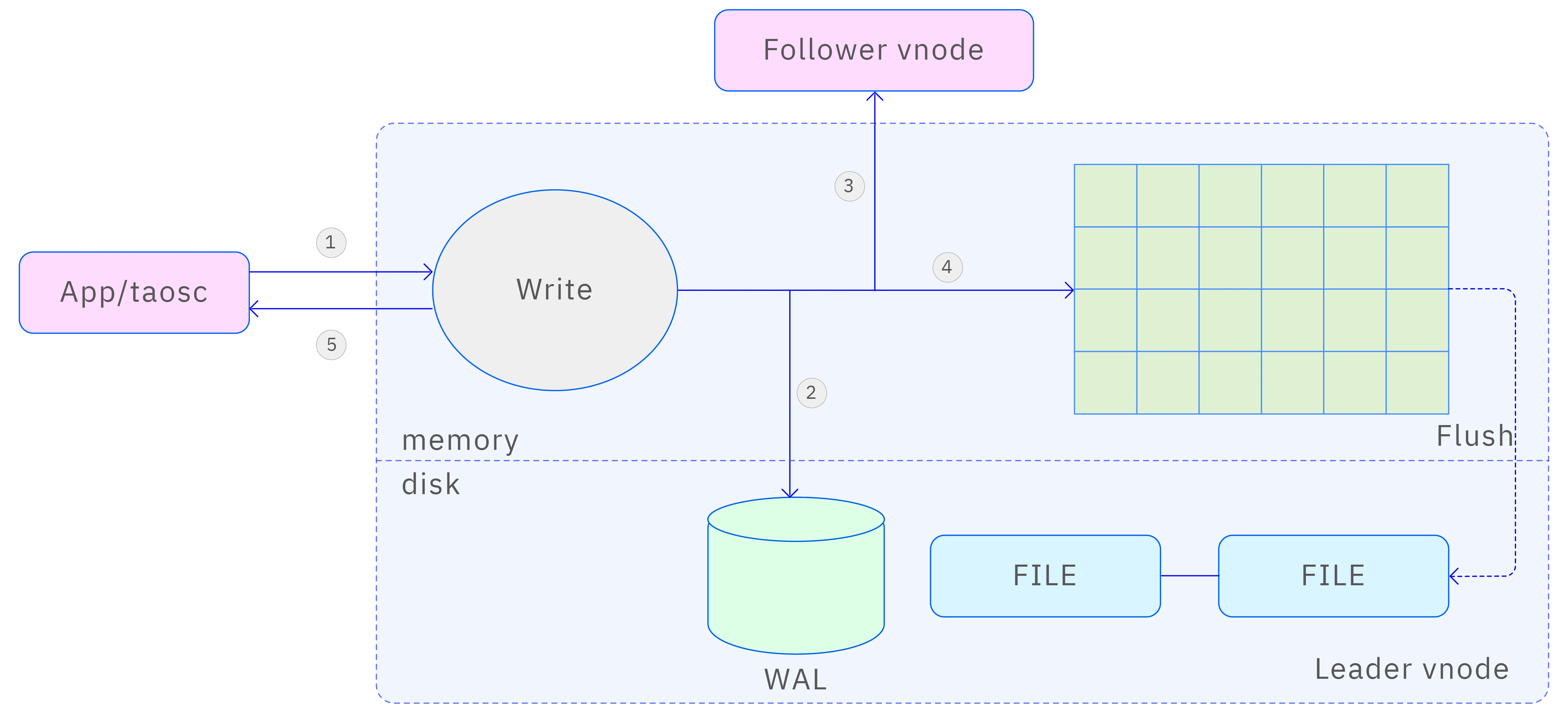 Leader write process