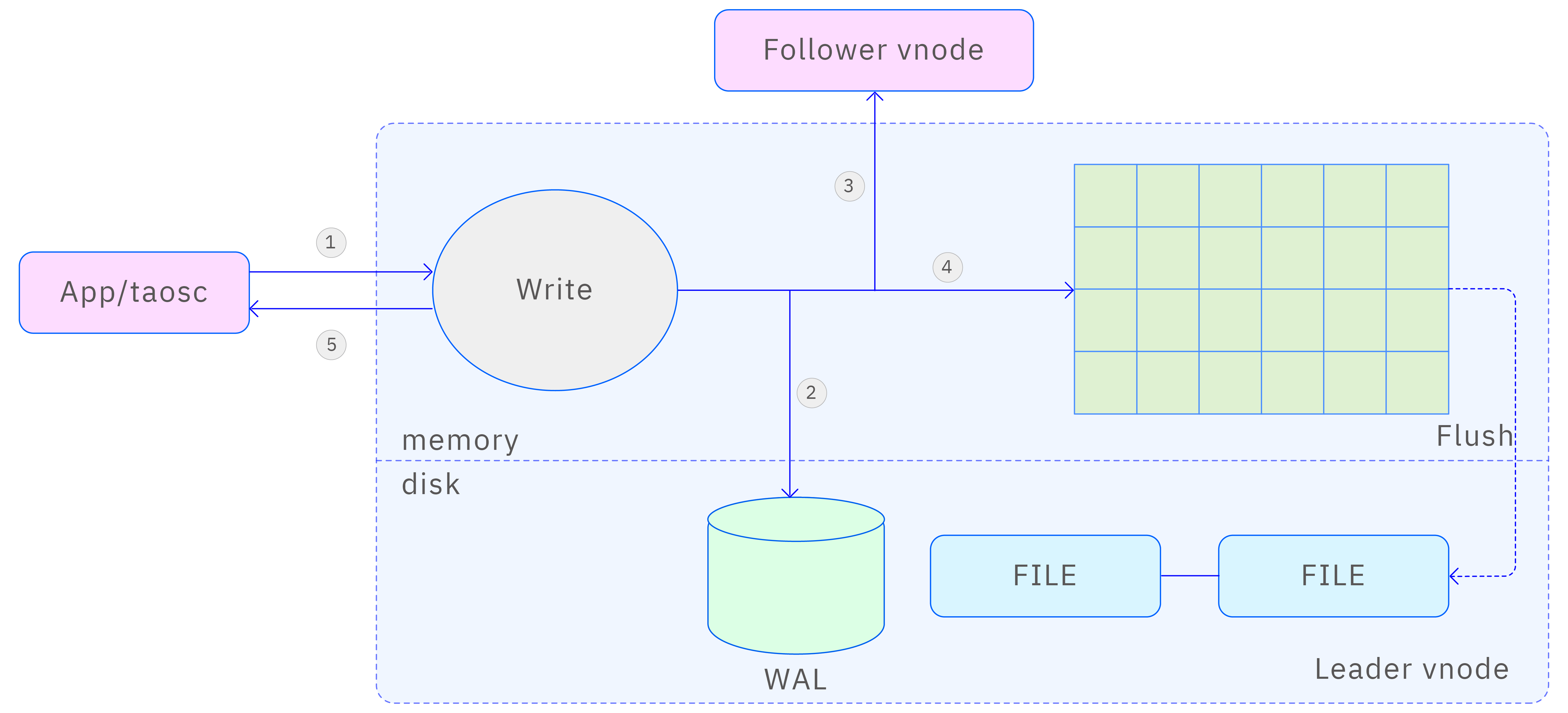 Leader write process